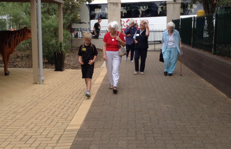 Explaining how the Shop works